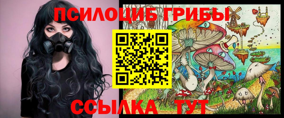 Псилоцибиновые грибы Psilocybine cubensis Родники